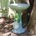 thumbnail image 5 of Sunnydaze Freestanding Polyresin Outdoor Bird Bath, Brooding Frog on a Stone, 5 of 13