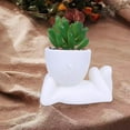 thumbnail image 3 of Succulent Potted Ceramic Flowerpot for Home and Desk Decoration Plastic Material, 3 of 6