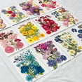 thumbnail image 2 of Dried Pressed Flowers For Resin Molds, DIY Bookmark Resin Epoxy Accessories, Small Dried Flower Natural Herbs Pressed For DIY Soap Candles Making Scrapbooking, 2 of 9