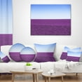 thumbnail image 3 of Designart Lavender Flowers with Blue Horizon - Landscape Wall Throw Pillow - 16x16, 3 of 4