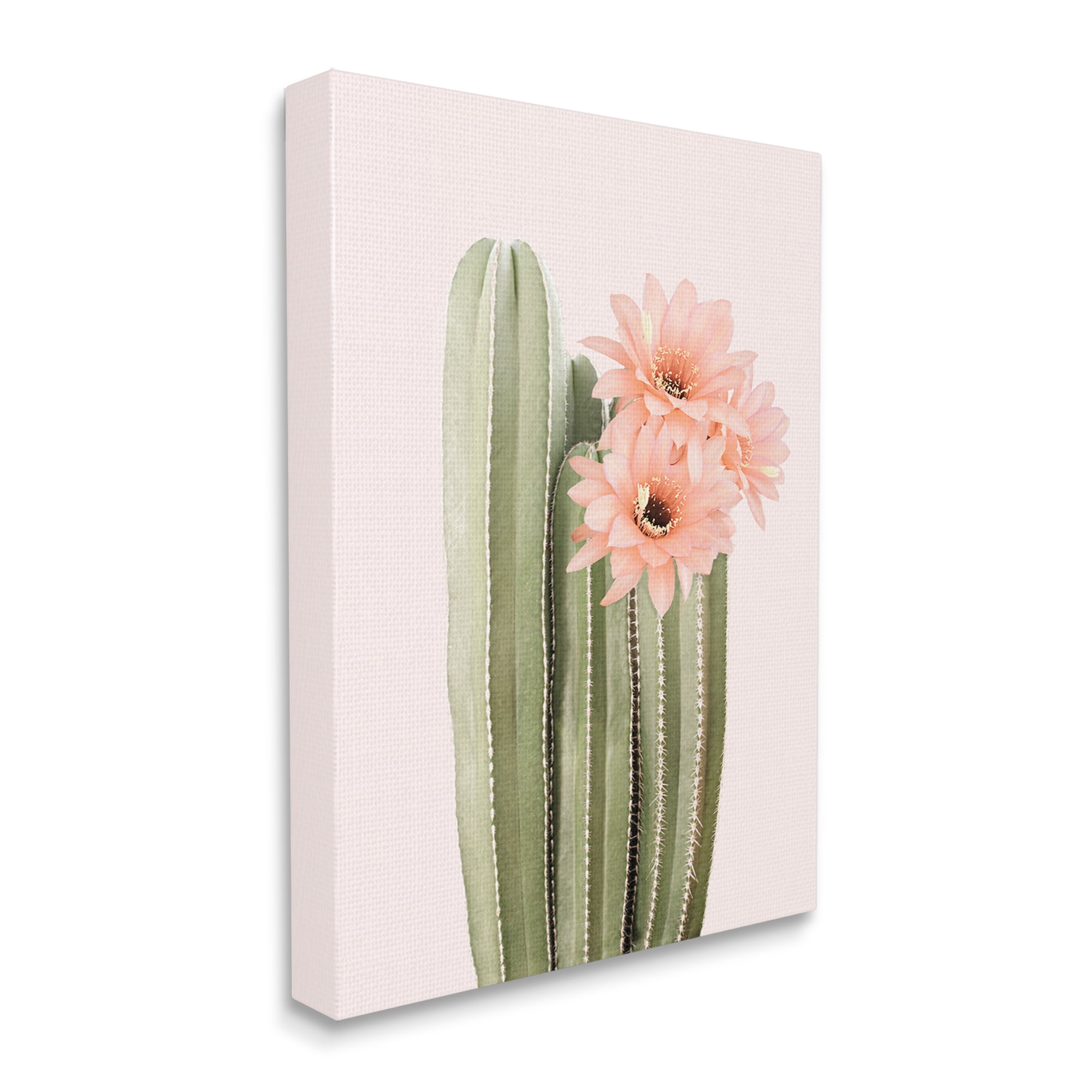 Stupell Industries Pink Flower on Cactus Botanical & Floral Painting Gallery Wrapped Canvas Print Wall Art, 30 x 40