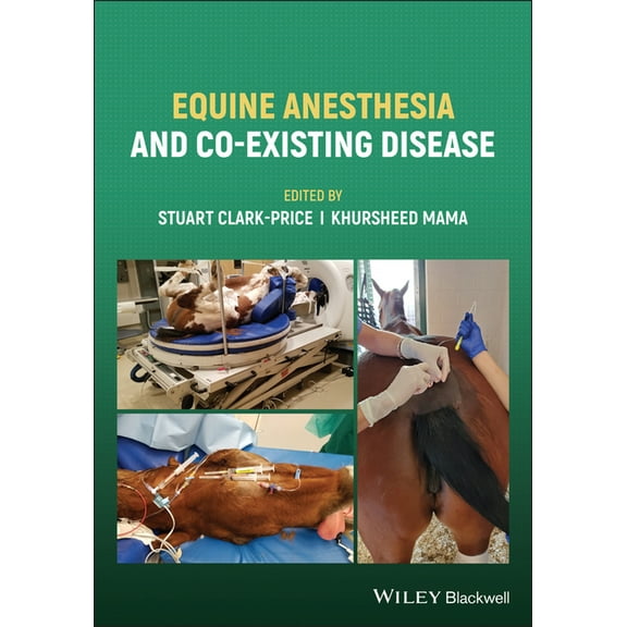 Equine Anesthesia and Co-Existing Disease (Paperback)