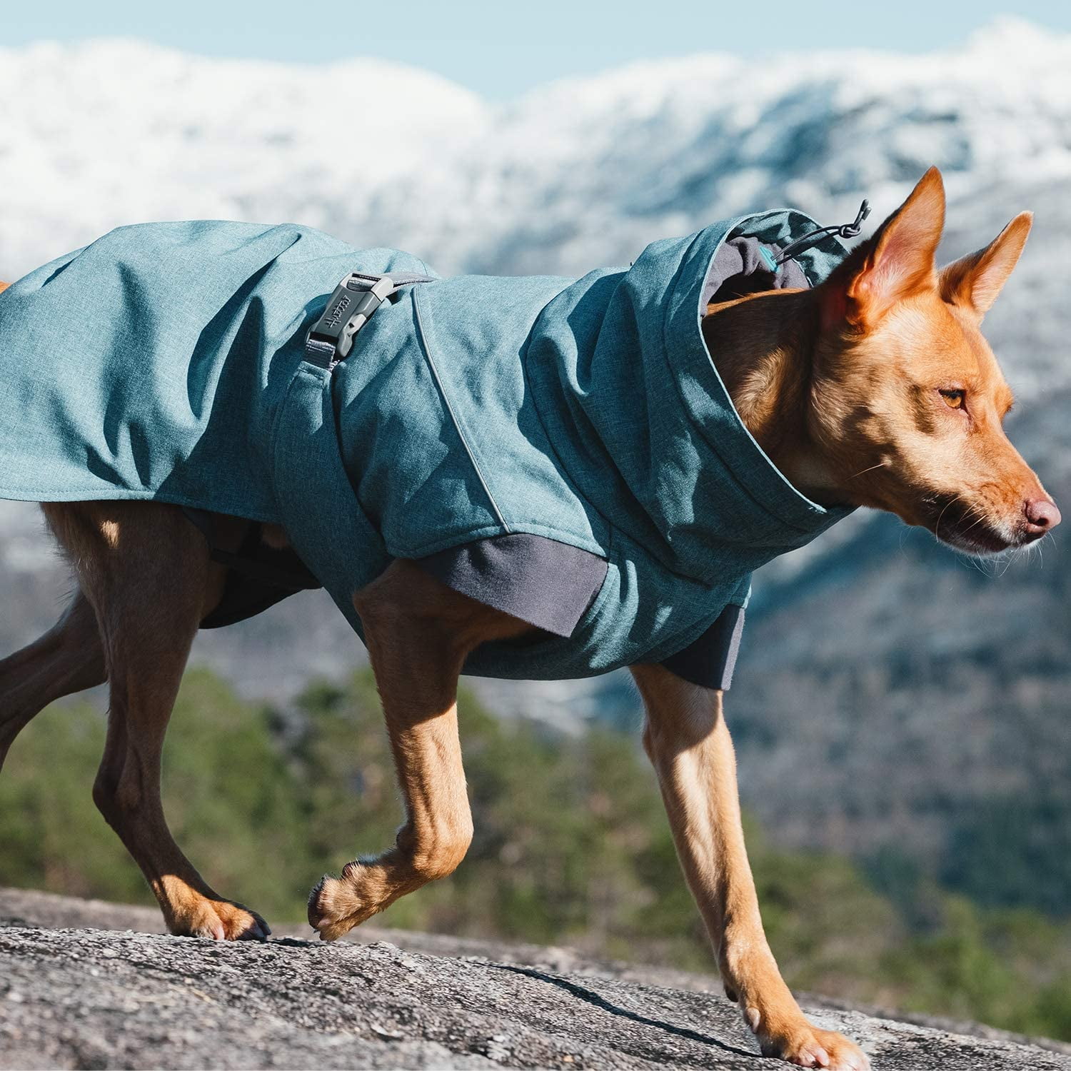 Hurtta Hurtta 65cm Expedition Parka Bilberry Dog Coat Thermal Water Resistant 6410329337055 