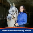 thumbnail image 3 of Farnam Cough Free Pellets Respiratory Health Supplement for Horses 1.75 pounds, 3 of 15