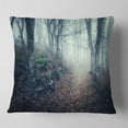 thumbnail image 2 of Designart Old Style Path in Forest - Landscape Photography Throw Pillow - 16x16, 2 of 5