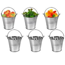 6 Pieces Small Galvanized Buckets Small Metal Buckets Mini Tin Pails with Handles Mini Buckets Metallic Pails for Christmas Party Favors Garden Planter Vase Crafts 3 x 2.95 x 2.2 Inch
