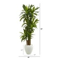 thumbnail image 2 of Nearly Natural Plastic Green 64" Corn Stalk Dracaena Artificial Plant in White Planter, 2 of 5