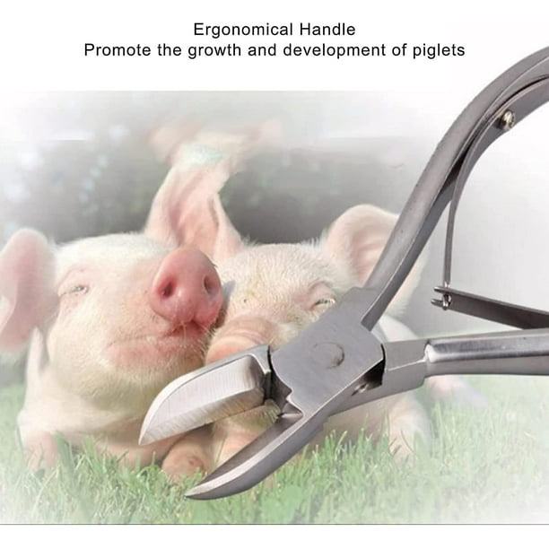 Pinza para dientes de cerdo, codo, práctica, duradera, cortadora de dientes para lechones, ergonómica para conejos, para cortar dientes deciduos, para dientes cortados, para lechones