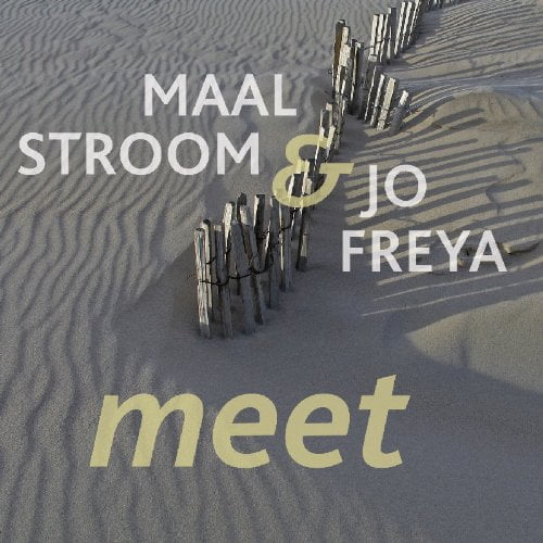 Meet (Audiobook)
