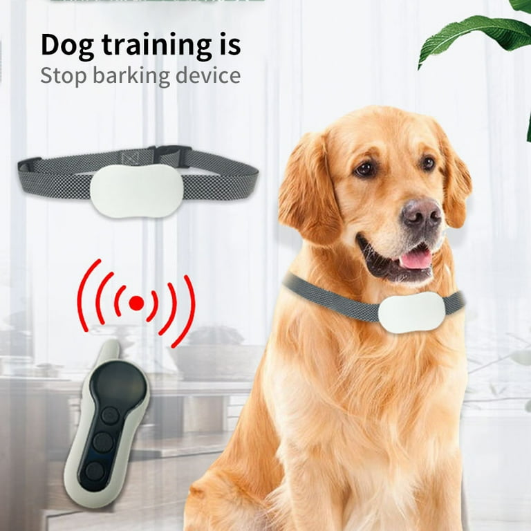 Dog Training Collar Waterproof Remote Control Sound Warning Vibration Shock  Multifunctional Dog Training Device - Walmart.com