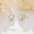 thumbnail image 7 of 14K Gold Stud Earrings for Women Gold CZ Stud Earrings Studs Dainty 14 Karat Post Earrings Hypoallergenic Gold Earrings for Sensitive Ears Gold Stud Earrings 14k, 7 of 7