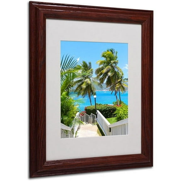 Trademark Fine Art "Virgin Islands 3" Matted Framed Art by CATeyes