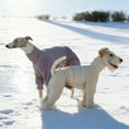 thumbnail image 6 of Outdoor Winter Coat for Dogs All-Season Warmth and Comfort for Four-Legged in Autumn and Winter, 6 of 7
