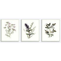 The Stupell Home Decor Collection Purple and White Floral Botanical Illustrations 3pc Wall Plaque Art Set, 10 x 0.5 x 15