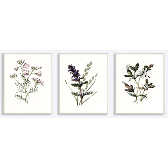 The Stupell Home Decor Collection Purple and White Floral Botanical Illustrations 3pc Wall Plaque Art Set, 10 x 0.5 x 15