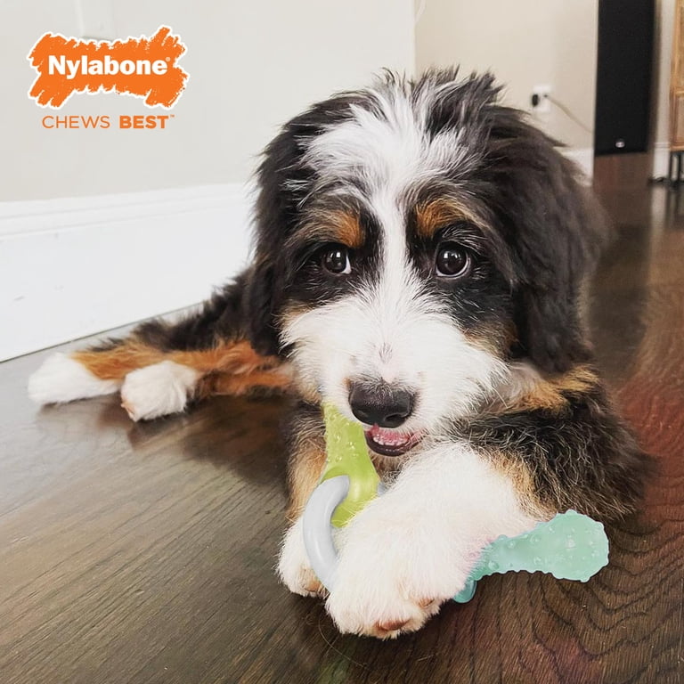 Nylabone Puppy Chew Teething Pacifier, Peanut Butter, Small photo 2
