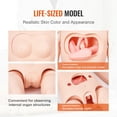 thumbnail image 4 of VEVOR Nursing Training Manikin, Male/Female Life Size Demonstration Human Manikin for Nursing Training, Multifunctional Education Teaching Model, PVC Anatomical Mannequin Body Care Simulator Model, 4 of 9