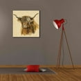 thumbnail image 6 of Epic Graffiti 'Highland Animal Cow' by Silvia Vassileva, Canvas Wall Art, 26"x26", 6 of 8