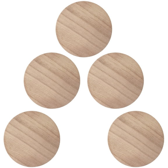 Moluckfu 5Pcs Round Wood Slices for DIY Projects and Home Decor Craft Supplies