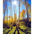 thumbnail image 2 of Talbot Frank, Christopher 15x17 Black Ornate Wood Framed with Double Matting Museum Art Print Titled - USA, Utah, Fall colors of Aspen trees, 2 of 4