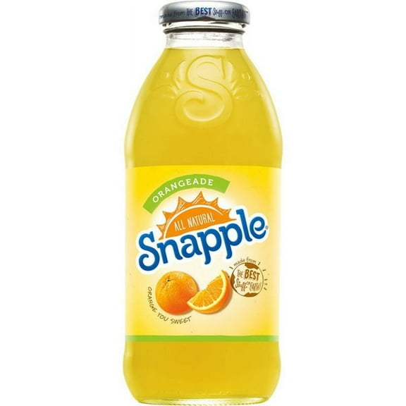 Snapple Orangeade 16 oz (Pack of 24 Plastic Bottles)-Orange Flavor