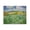 Van Gogh Countryside Landscape_v1, variant on Stupell Industries Transitional Farmhouse In Provence Black Framed Giclee Art, 14 x 11, by Vincent Van Gogh