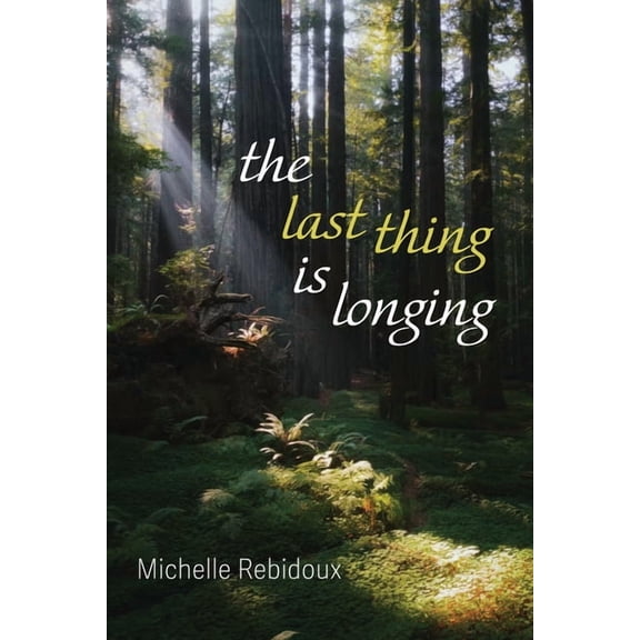 The Last Thing Is Longing (Paperback)