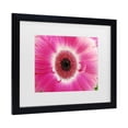 thumbnail image 2 of Trademark Fine Art 'Pink Gerber' Canvas Art by Kurt Shaffer, 2 of 4