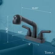 Utility Sink Dual-Handle Universal ABS Plastic Pull-Out Faucet in Black