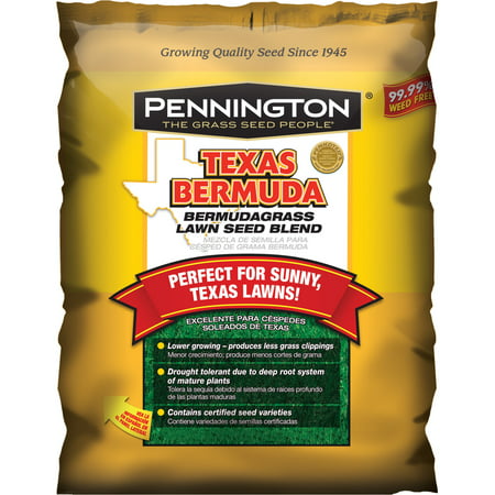 Pennington Texas Bermuda Grass Grass Seed 5 lbs (Best Bermuda Seed For Shade)