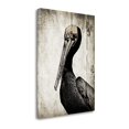 thumbnail image 2 of Tangletown Fine Art 'Rustic Brown Pelican' Graphic Art Print Print on Canvas, 2 of 2