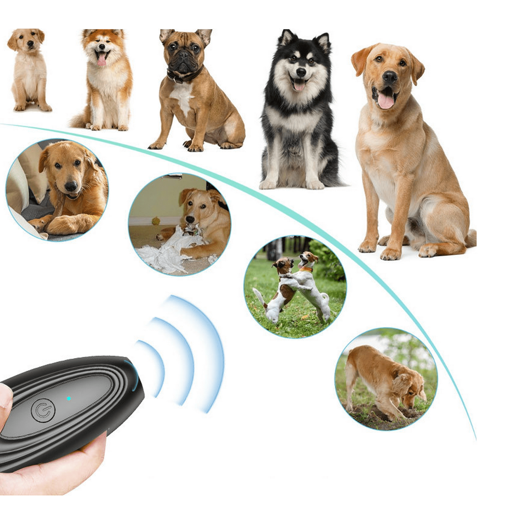 Are Ultrasonic Dog Trainers Safe