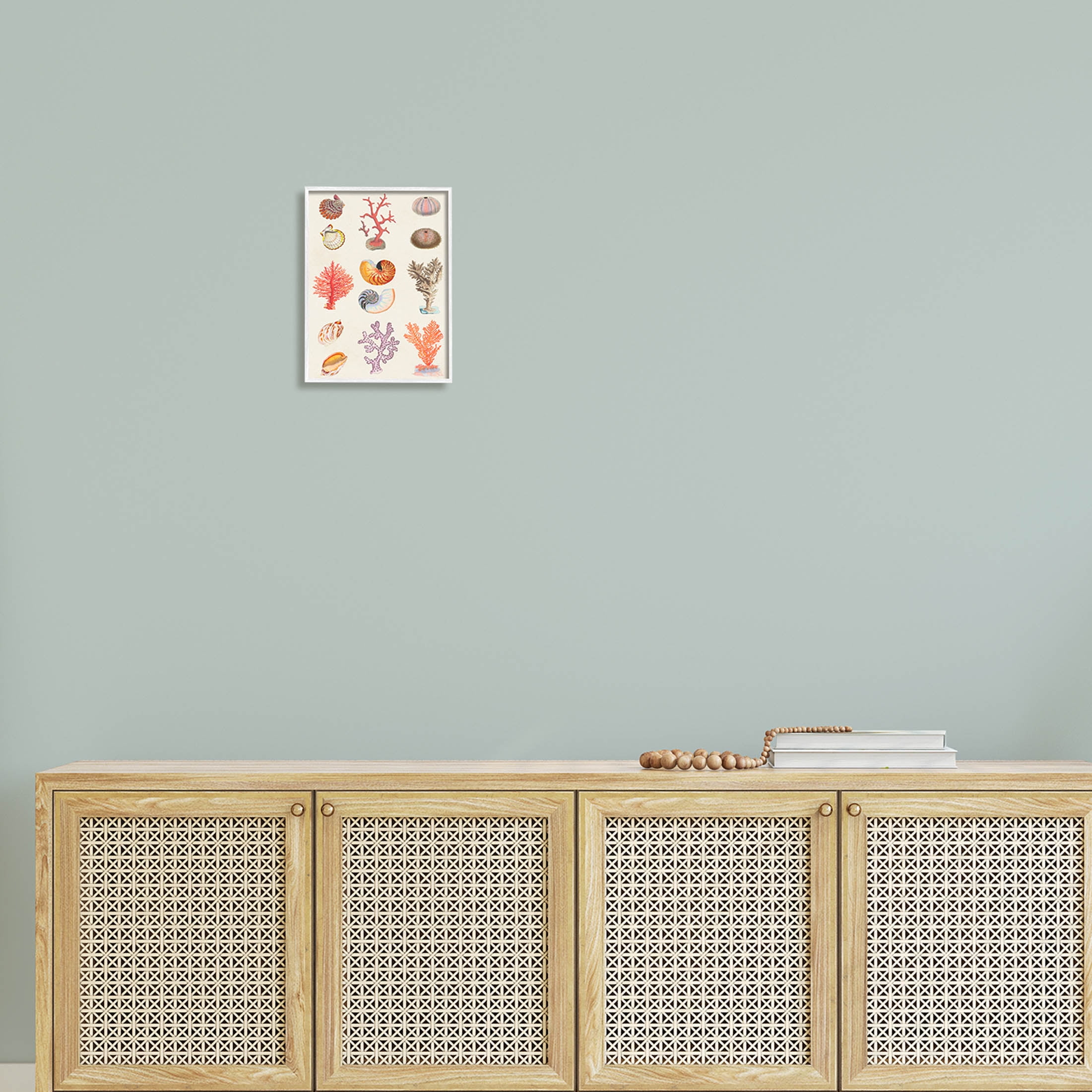 Stupell Industries Various Sea Life Nautical Latin Study Graphic Art White Framed Art Print Wall Art, Design by Vision Studio