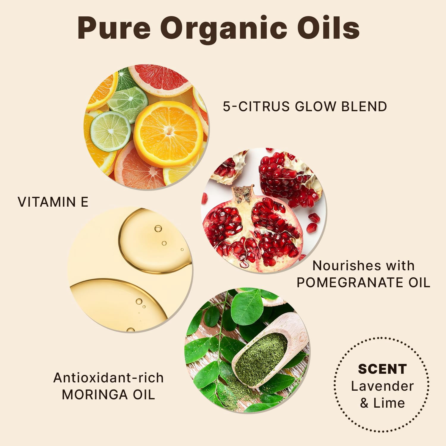 Organic Face Oil - Glowing & Radiant Anti Aging Face Oil in Amber Glass Bottle (1 Bottle)