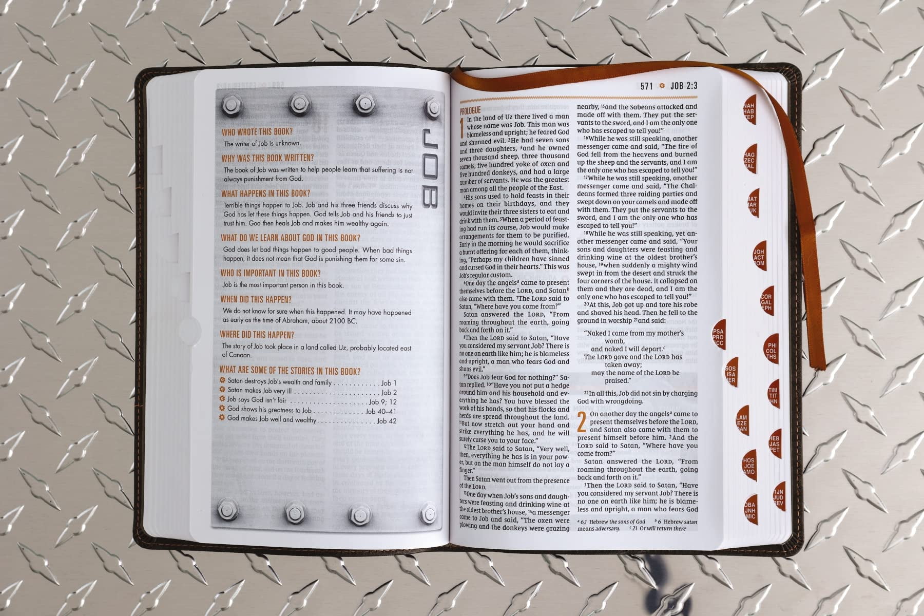 Niv, Boys' Bible, Leathersoft, Brown Camo, Thumb Indexed Tabs, Comfort Print, (Hardcover)