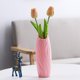 thumbnail image 1 of 1 pieza de jarrón de plástico de estilo europeo, flores secas caseras, flores frescas, decoraciones para la mesa del comedor y la sala de estar (rosa), 1 of 2
