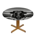 thumbnail image 3 of WYYP Longhorn Cattle Round Tablecloth 100% Polyester Fiber Waterproof White, 3 of 8