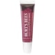 thumbnail image 1 of Lip Shine Burt's Bees Pucker [050] 15 ml (paquete de 2), 1 of 5