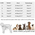 thumbnail image 2 of Chaleco refrescante para perros, chaqueta de malla transpirable para perros, abrigo de verano fresco y cómodo para perros, ajustable con rayas reflectantes, ropa para mascotas adecuada para, 2 of 6