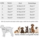 thumbnail image 2 of Chaleco de enfriamiento para perros Chaqueta de malla transpirable para perros Verano Fresco y cómodo Abrigo para perros Ajustable con rayas reflectantes Ropa para mascotas Adecuado para perros, 2 of 6