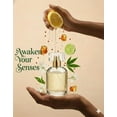 thumbnail image 3 of Amber Musk Perfume Spray – Unisex Fragrance with Citrus, Jasmine & Patchouli – 1 oz Long-Lasting Scent, 3 of 8