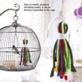 thumbnail image 4 of Juguete Para Loros, Primario Ordinario, Preciso, Abundante Para Interiores, 4 of 7