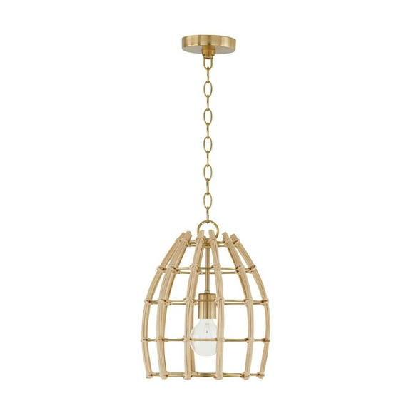 1 Light Pendant In Modern Style-14.5 Inches Tall And 12 Inches Wide -Traditional Installation Capital Lighting 344111Ma