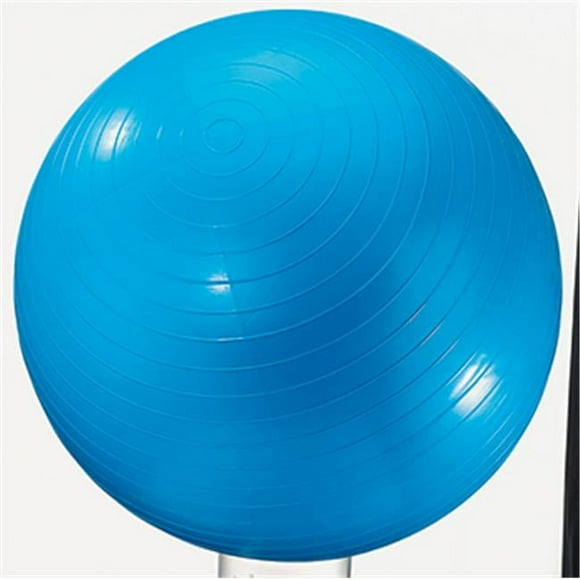 Dick Martin Sports Masgym24 Ballon d'Exercice 24 Po Bleu