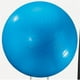 Dick Martin Sports Masgym24 Ballon d'Exercice 24en Bleu – image 1 sur 3