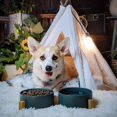 thumbnail image 2 of Spunkyjunky Cuenco De Cerámica Para Perros Y Gatos Con Soporte De Madera, Juego De Agua Y Comida Ponderada Con Esmalte Mate Antideslizante Para Gatos, Perros Medianos, 28,7 Onzas, 2 of 5