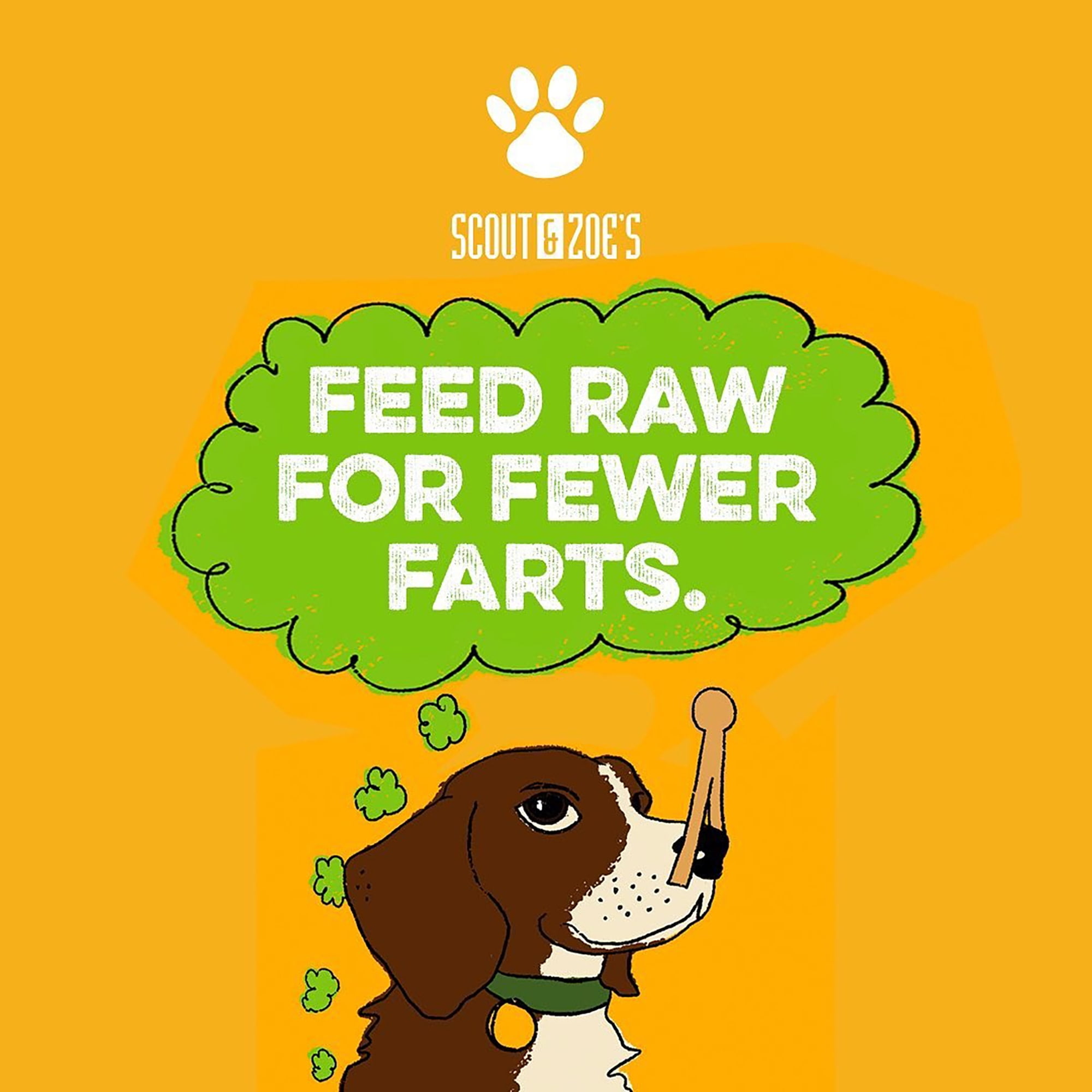 Scout & Zoe's: Chophouse Ready Raw - Chicken - 9 Dog Food Freeze-Dried Patties, Limited Ingredient Complete Pet Meal, Rehydrated Meat Patty = 1lb Food