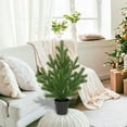 thumbnail image 4 of 189 Inch Nokefosson Bonsai Tree Indoor Outdoor Decorative, 4 of 7