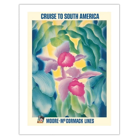 Cruise to South America - Tropical Orchids - Moore McCormack Lines - Vintage Ocean Liner Travel Poster by C. A. Rosser c.1950s - Bamboo Fine Art 290gsm Paper (Unframed) 17x22in