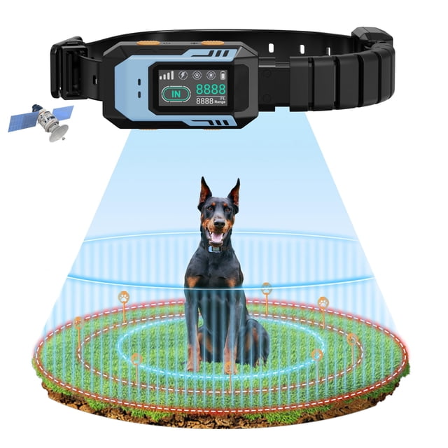 Collar GPS inalámbrico para perros PUPKIDS, alcance de 30 a 3.050 m